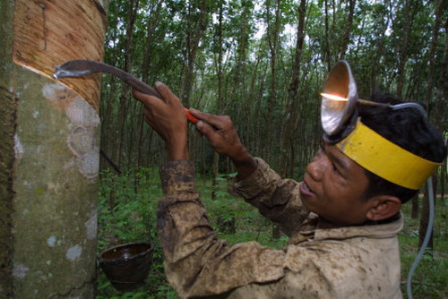 จังหวัดสงขลา