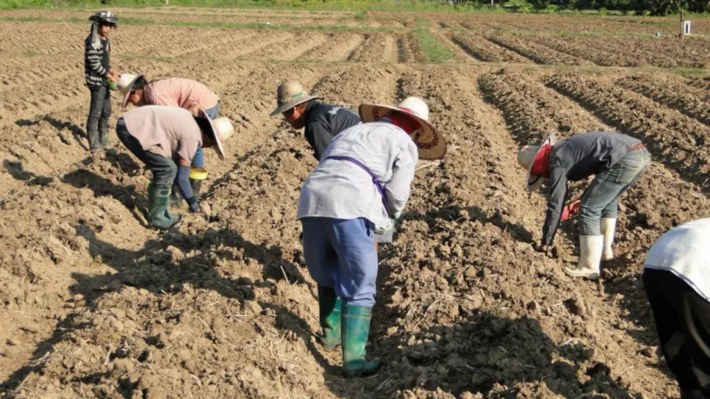 เกษตรกร