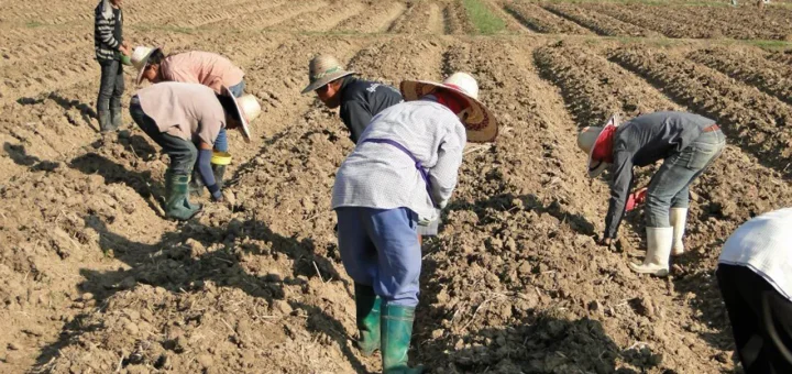 เกษตรกร